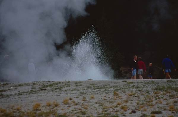 20000801   Yellowstone 032